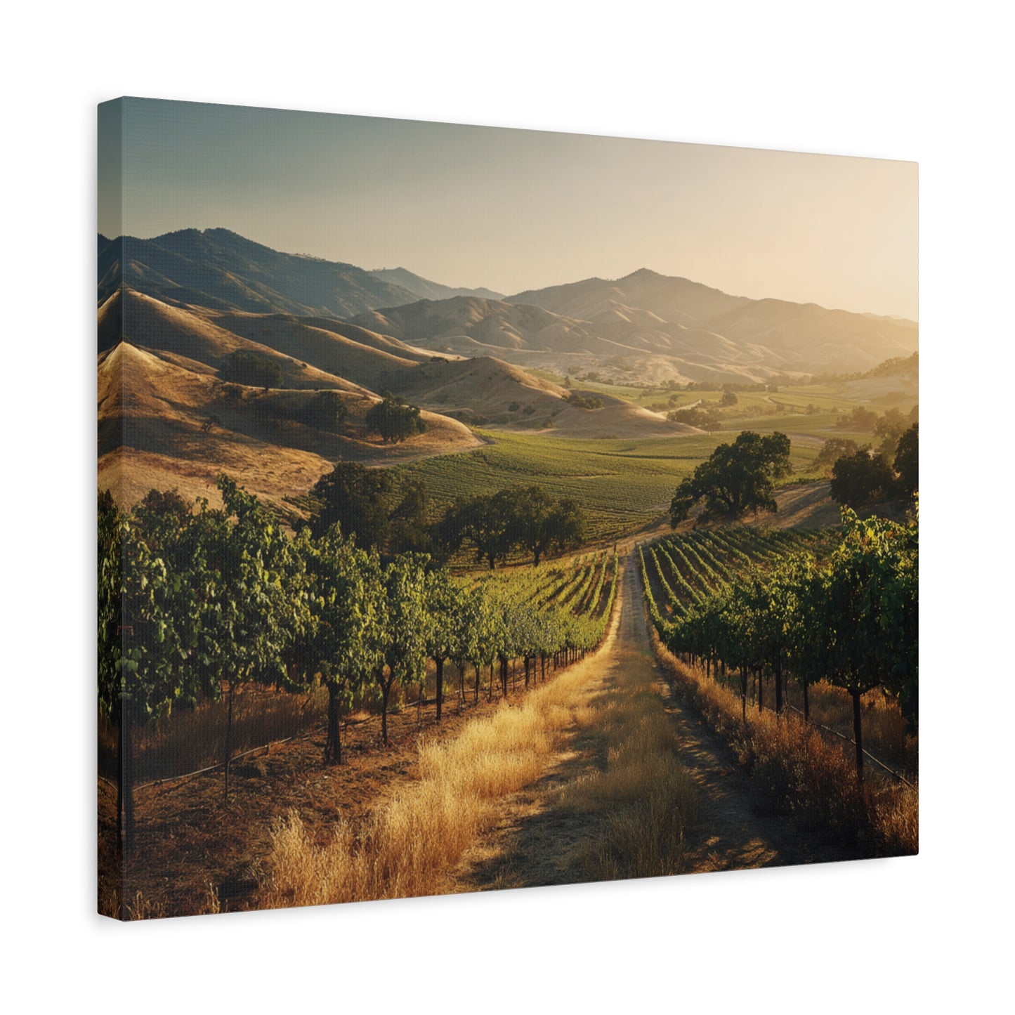 Vineyard Sunrise Matte Canvas Wall Art — Stretched 1.25"