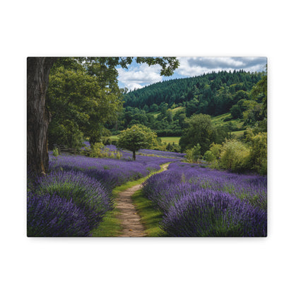 Lavender Field Path Matte Canvas Print — Stretched 1.25" Wall Art
