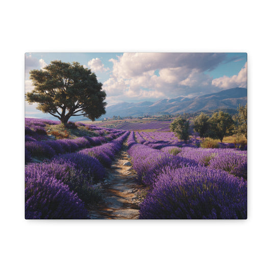 Lavender Field Canvas Print – Stretched Matte Wall Art
