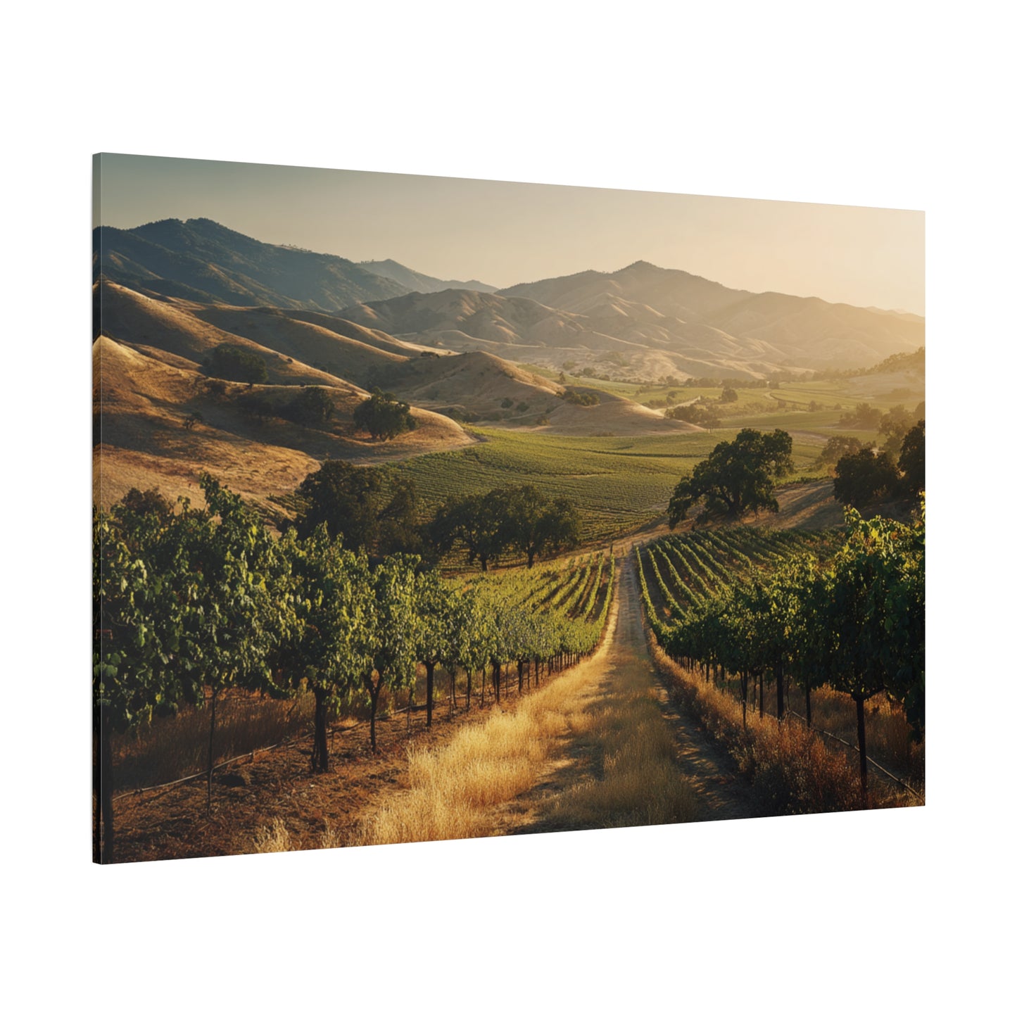 Vineyard Sunrise Matte Canvas Wall Art — Stretched 1.25"