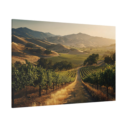 Vineyard Sunrise Matte Canvas Wall Art — Stretched 1.25"
