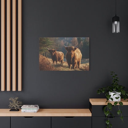 Highland Cattle Matte Canvas Print — Rustic Farmhouse Wall Art