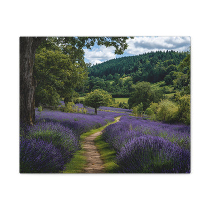 Lavender Field Path Matte Canvas Print — Stretched 1.25" Wall Art