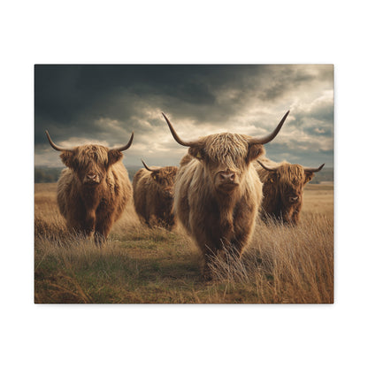 Highland Cattle Canvas Print — Majestic Bull Herd Wall Art