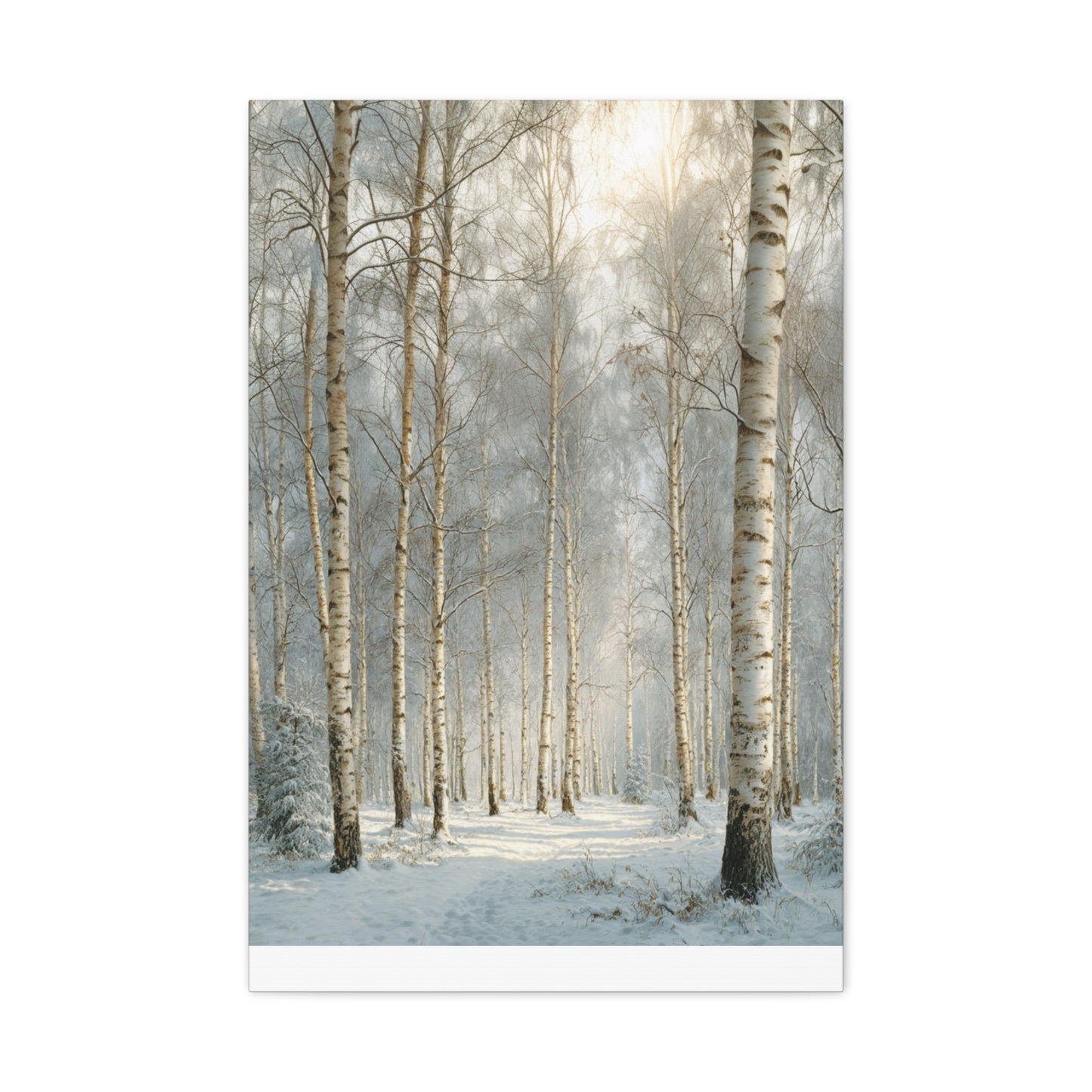 Birch Forest Matte Canvas Wall Art – Stretched 1.25" Landscape