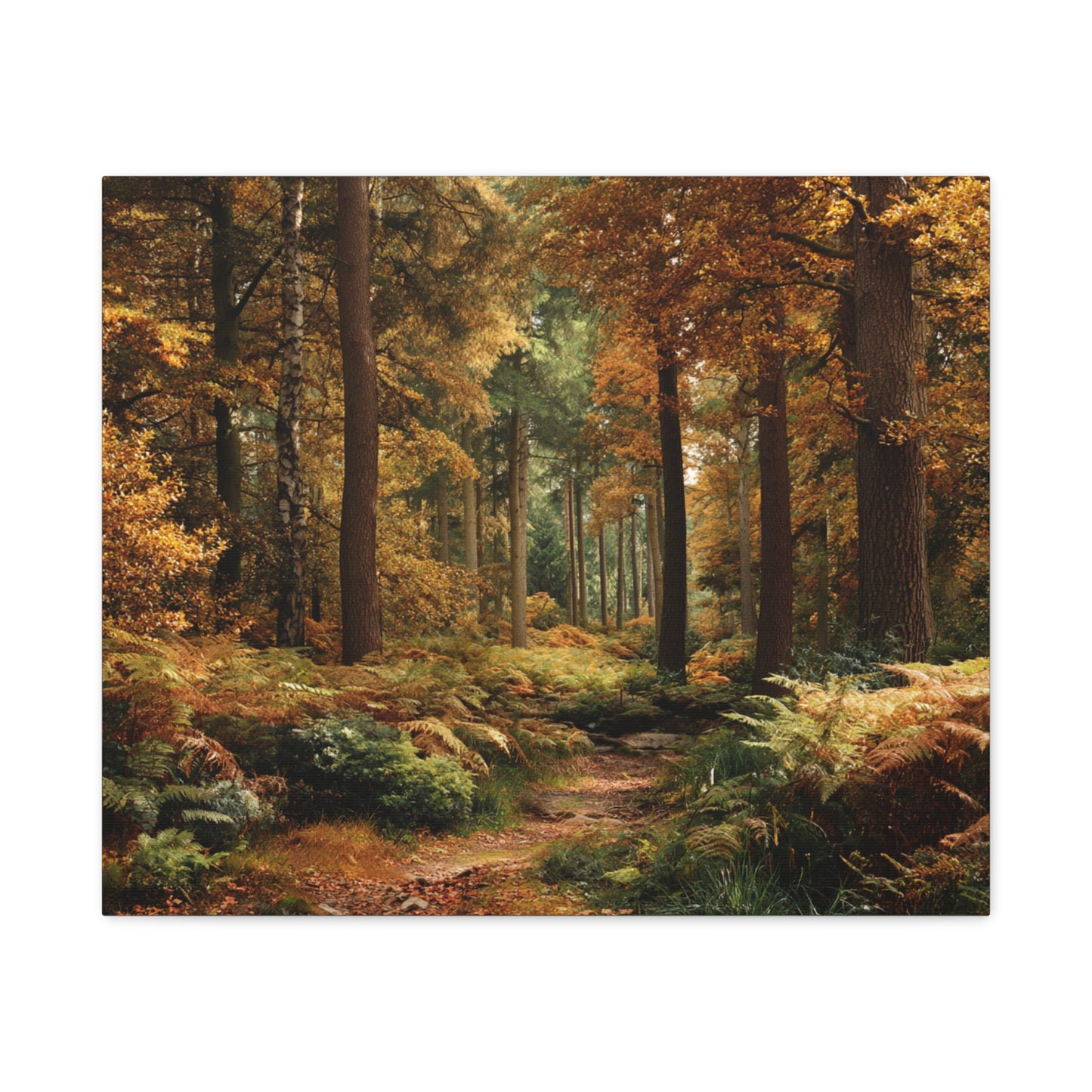 Autumn Forest Path Matte Canvas Wall Art — Stretched 1.25"