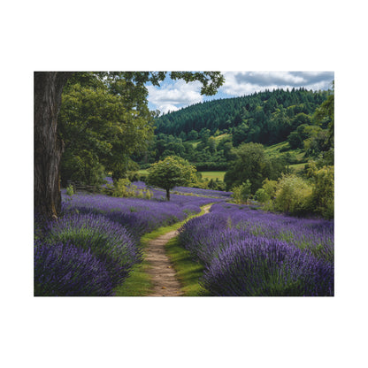 Lavender Field Path Matte Canvas Print — Stretched 1.25" Wall Art