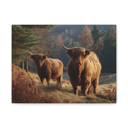 Highland Cattle Matte Canvas Print — Rustic Farmhouse Wall Art