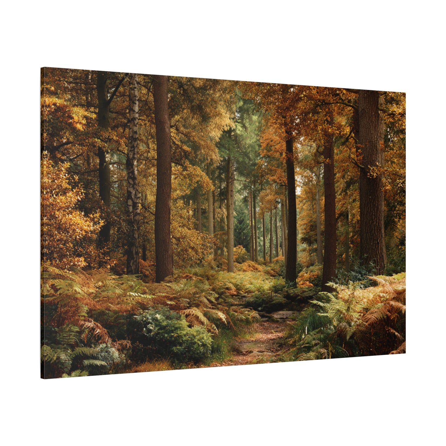 Autumn Forest Path Matte Canvas Wall Art — Stretched 1.25"