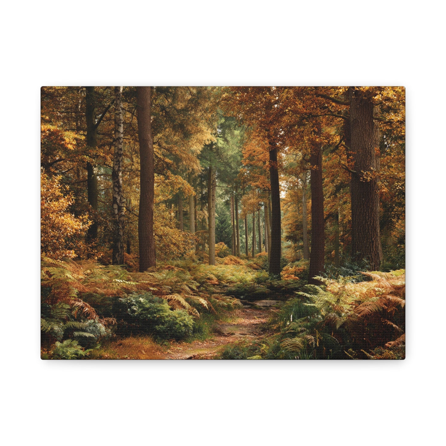 Autumn Forest Path Matte Canvas Wall Art — Stretched 1.25"