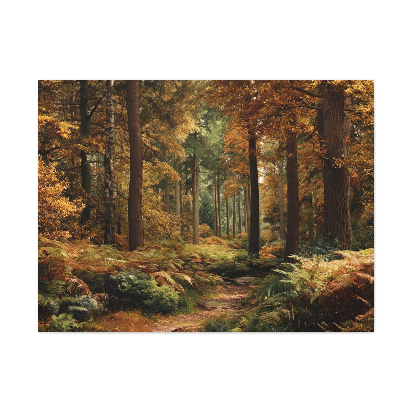 Autumn Forest Path Matte Canvas Wall Art — Stretched 1.25"