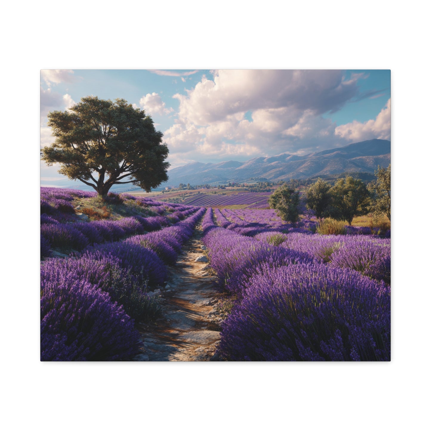 Lavender Field Canvas Print – Stretched Matte Wall Art