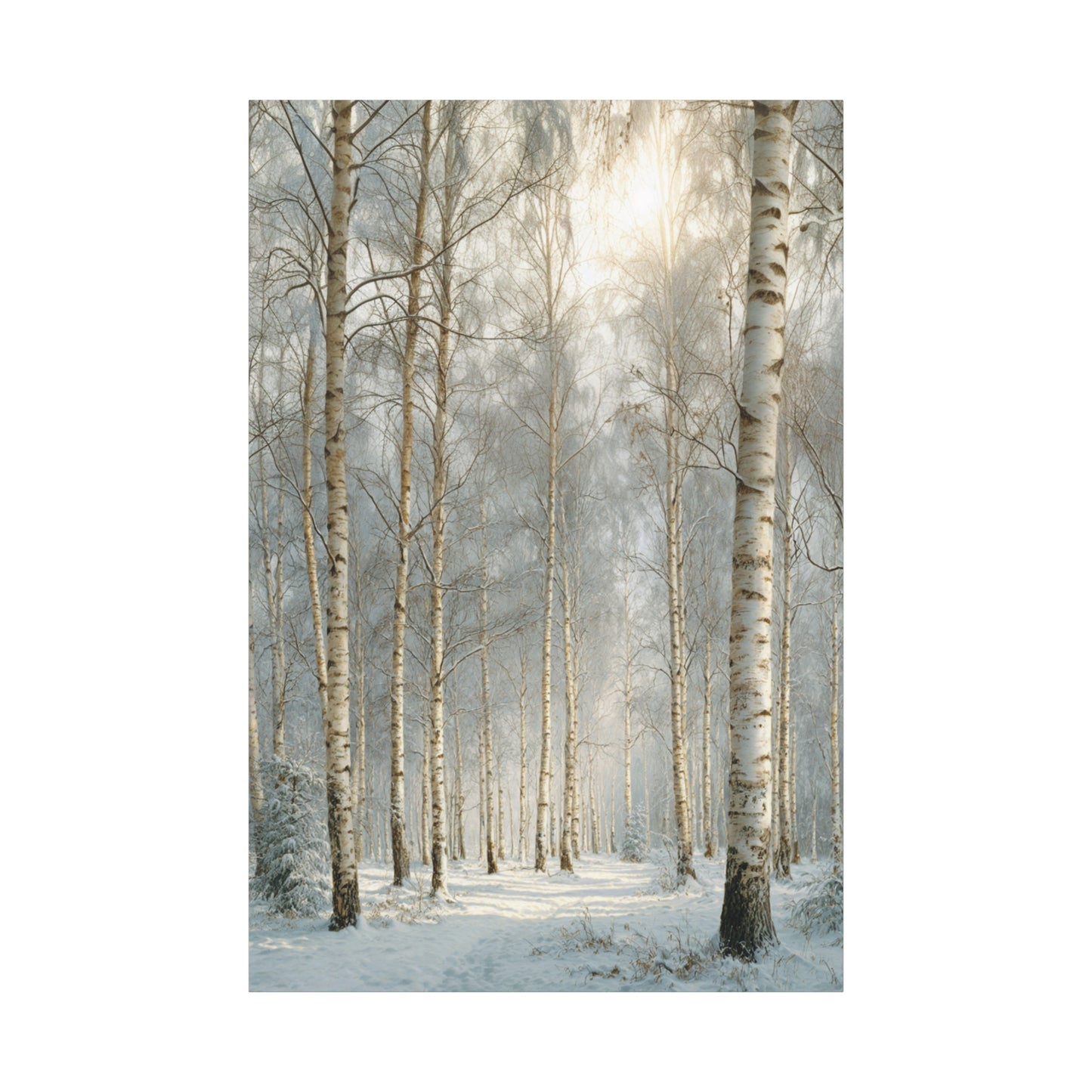 Birch Forest Matte Canvas Wall Art – Stretched 1.25" Landscape