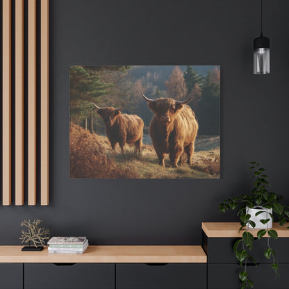 Highland Cattle Matte Canvas Print — Rustic Farmhouse Wall Art