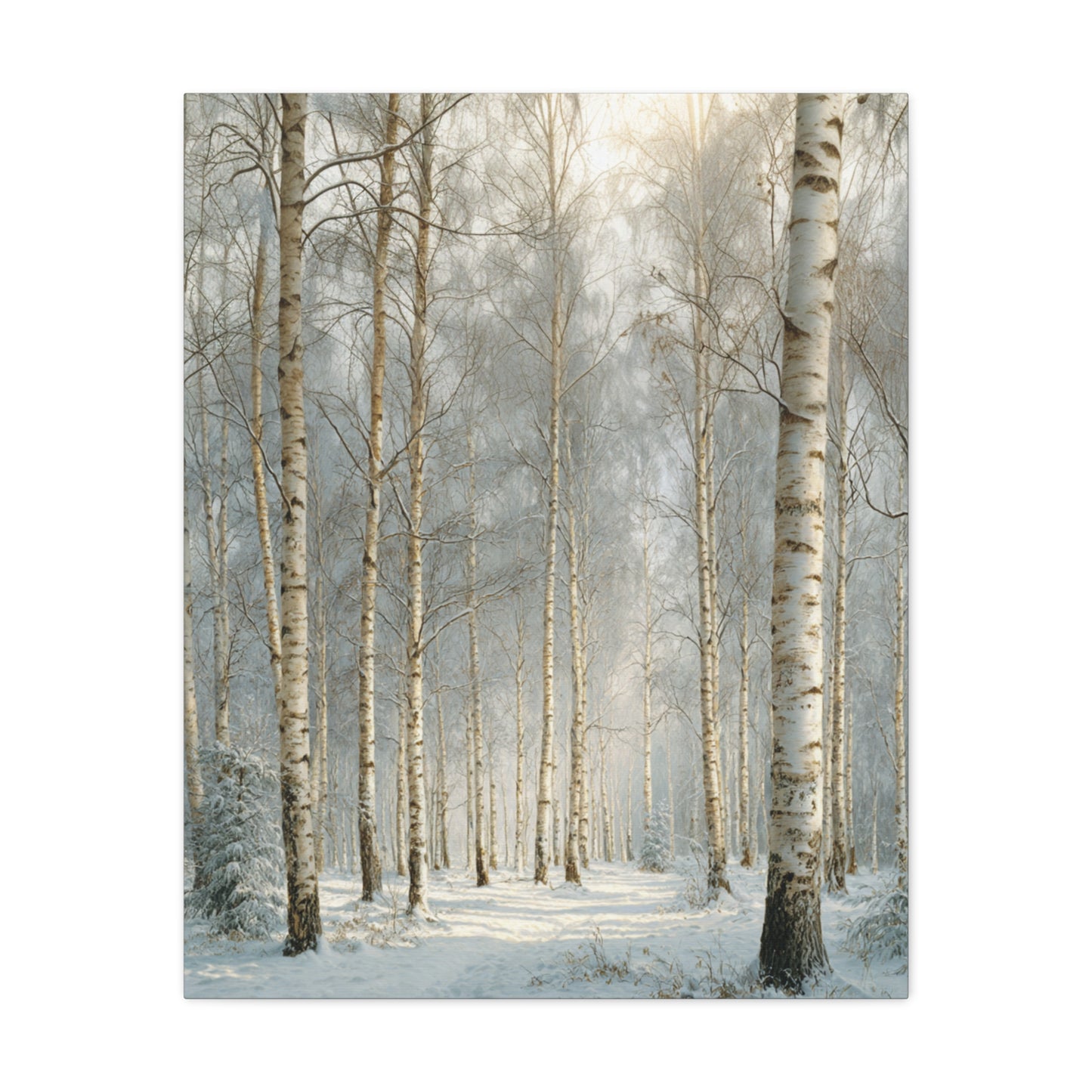 Birch Forest Matte Canvas Wall Art – Stretched 1.25" Landscape