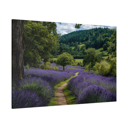 Lavender Field Path Matte Canvas Print — Stretched 1.25" Wall Art