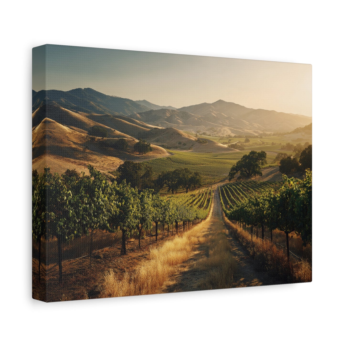 Vineyard Sunrise Matte Canvas Wall Art — Stretched 1.25"
