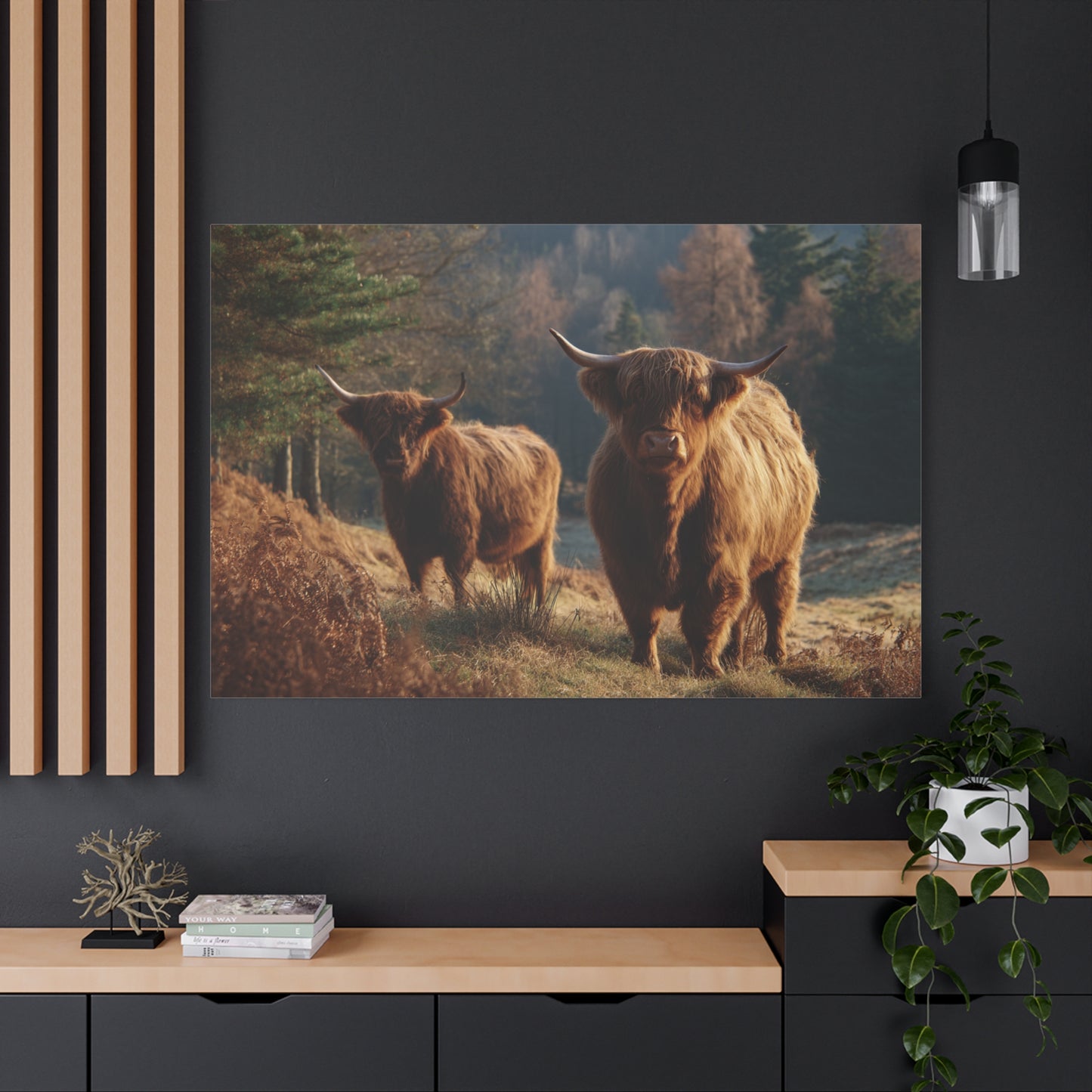 Highland Cattle Matte Canvas Print — Rustic Farmhouse Wall Art