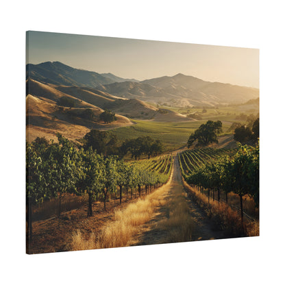 Vineyard Sunrise Matte Canvas Wall Art — Stretched 1.25"