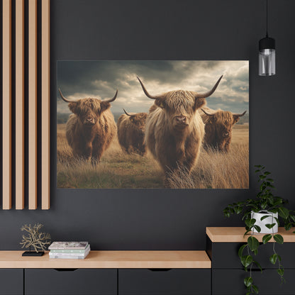 Highland Cattle Canvas Print — Majestic Bull Herd Wall Art