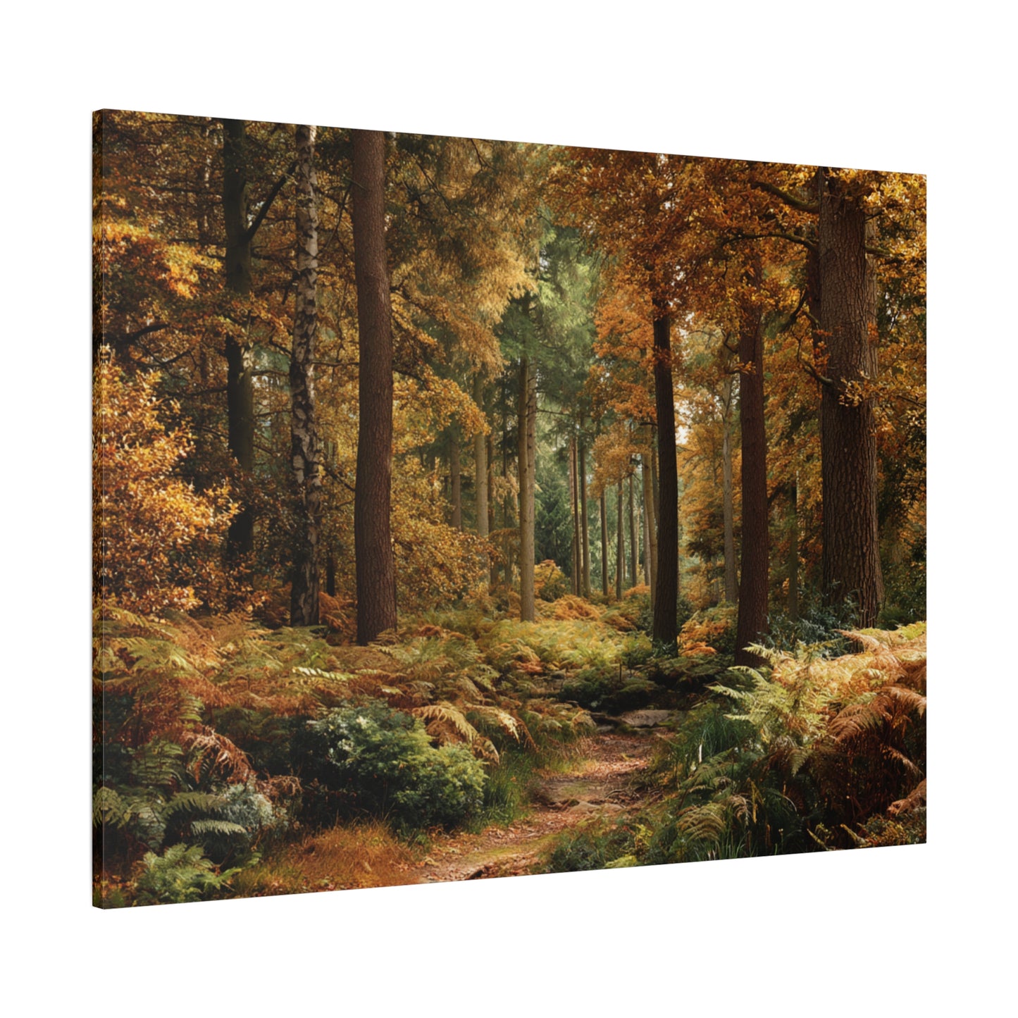 Autumn Forest Path Matte Canvas Wall Art — Stretched 1.25"