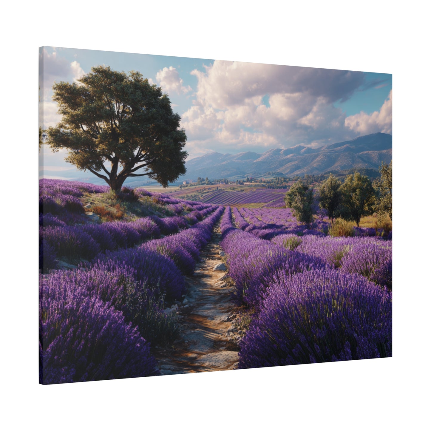Lavender Field Canvas Print – Stretched Matte Wall Art