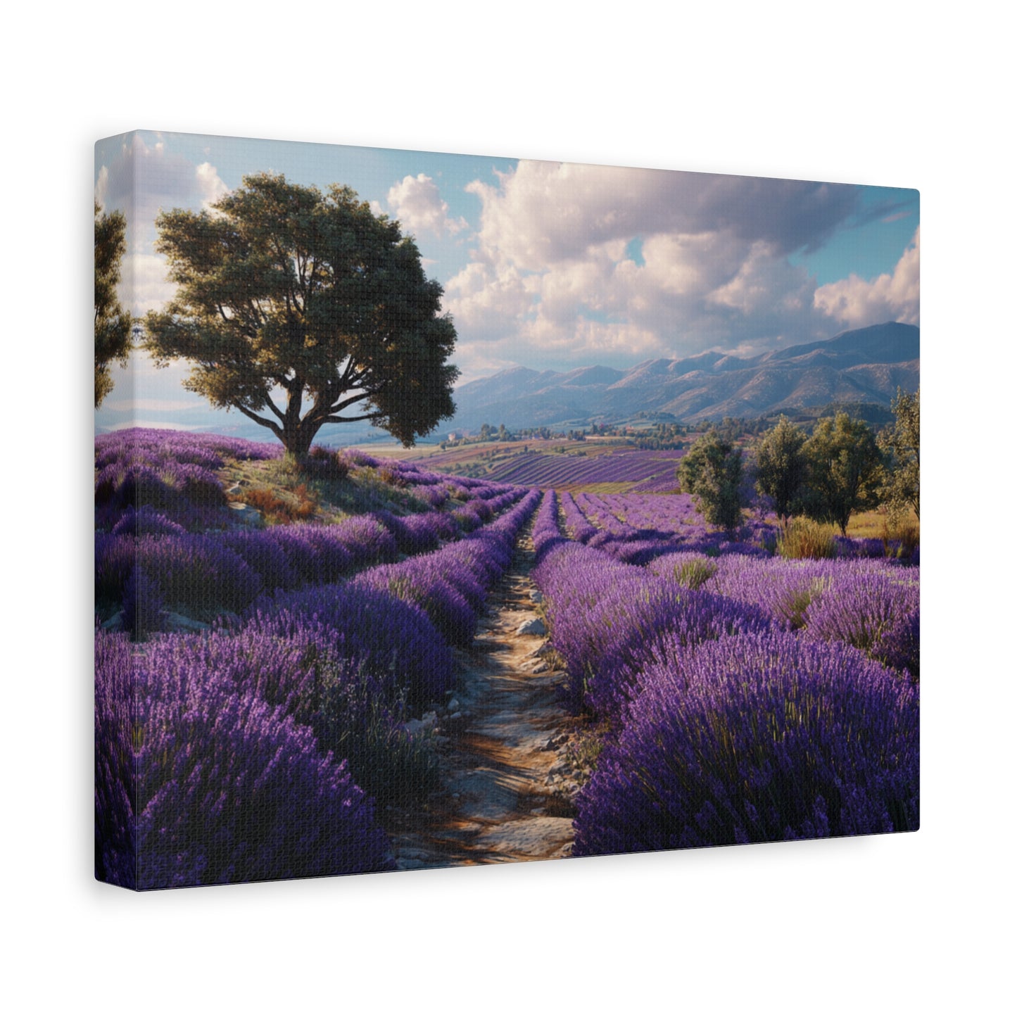 Lavender Field Canvas Print – Stretched Matte Wall Art