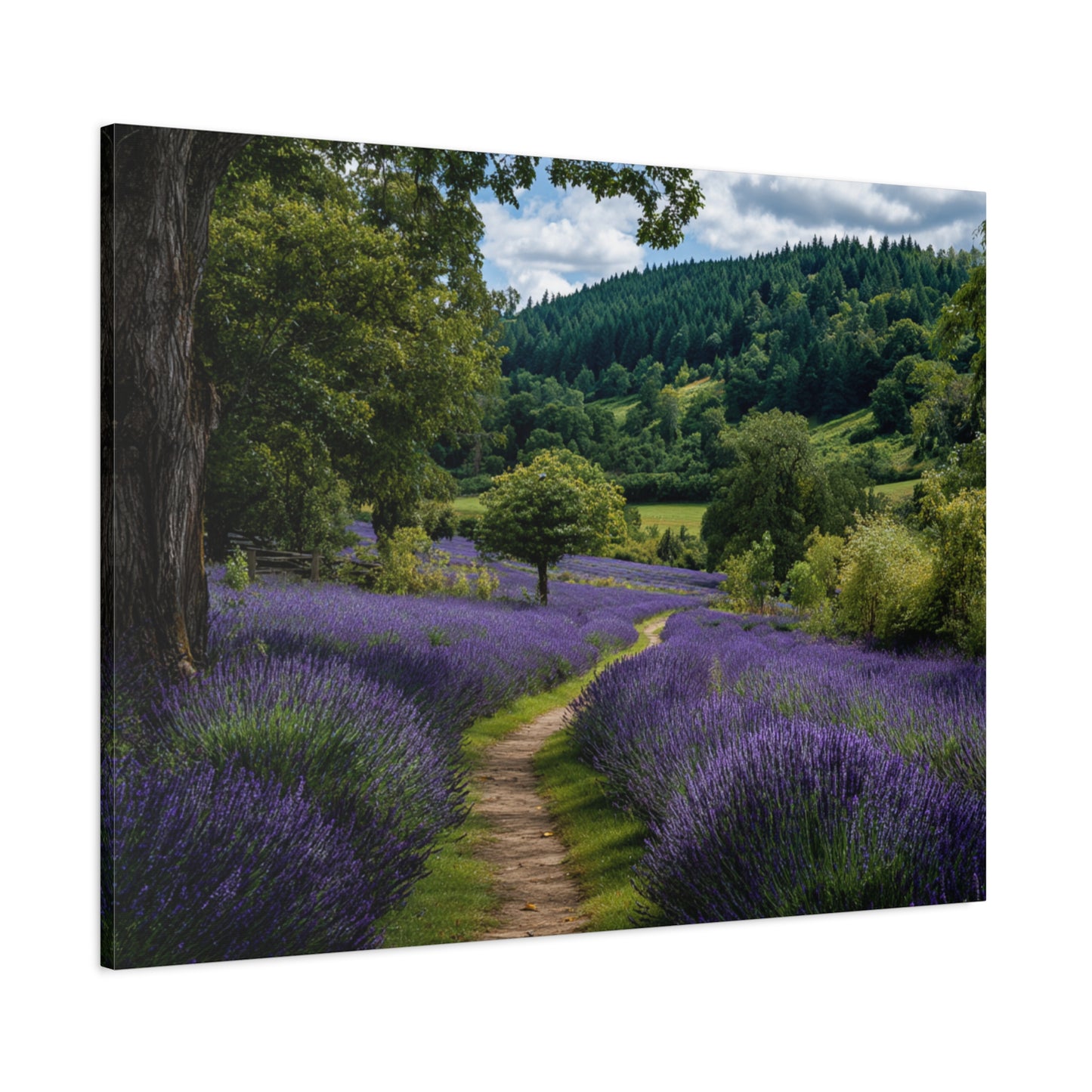 Lavender Field Path Matte Canvas Print — Stretched 1.25" Wall Art