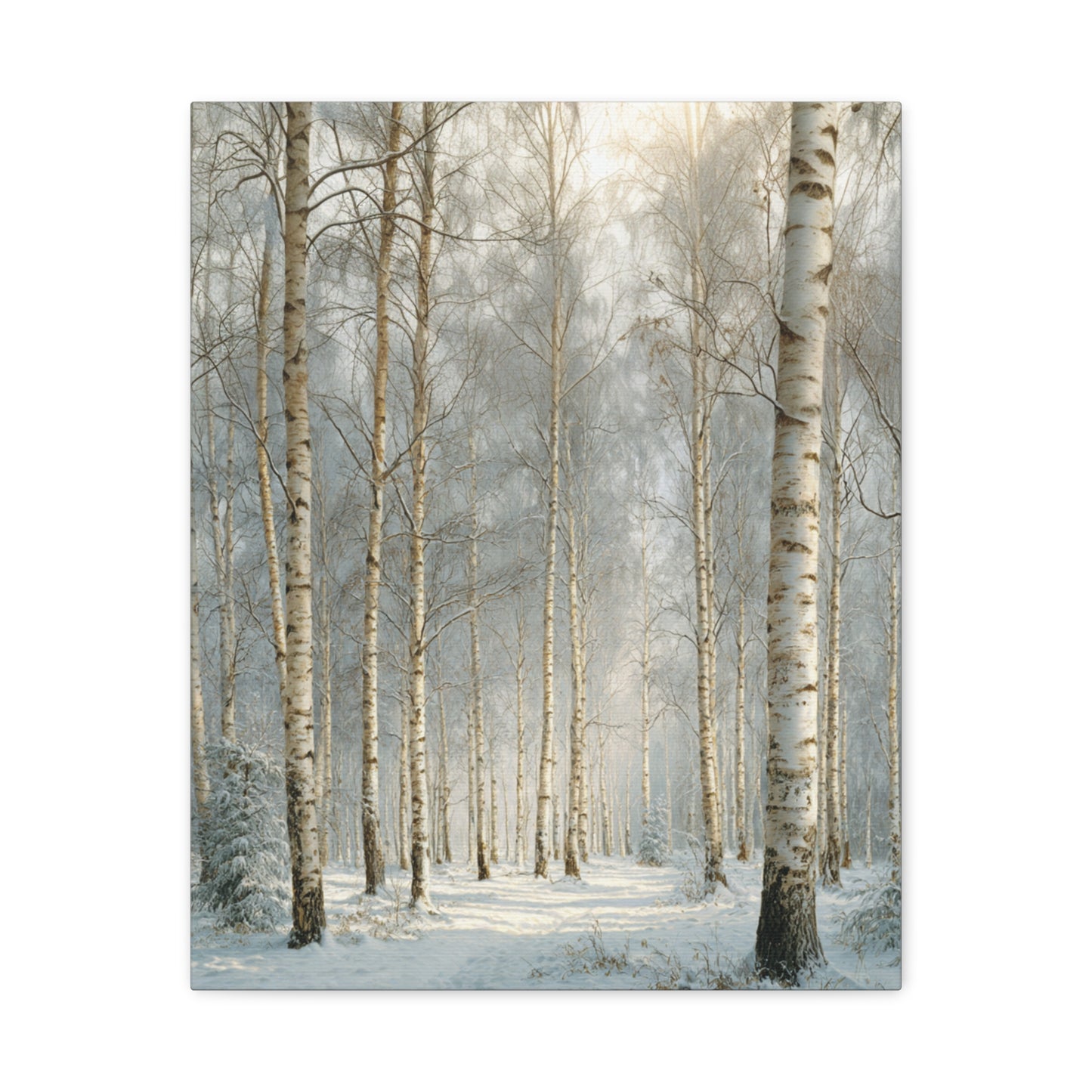 Birch Forest Matte Canvas Wall Art – Stretched 1.25" Landscape