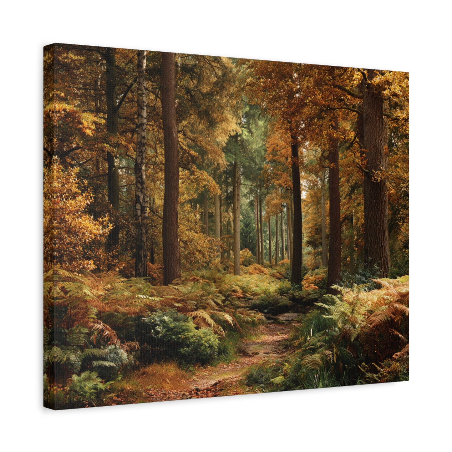 Autumn Forest Path Matte Canvas Wall Art — Stretched 1.25"