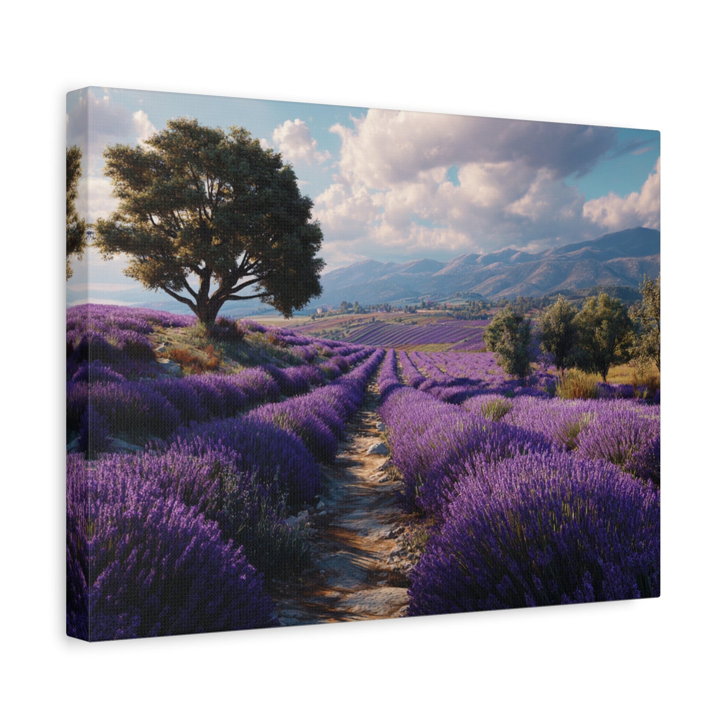 Lavender Field Canvas Print – Stretched Matte Wall Art