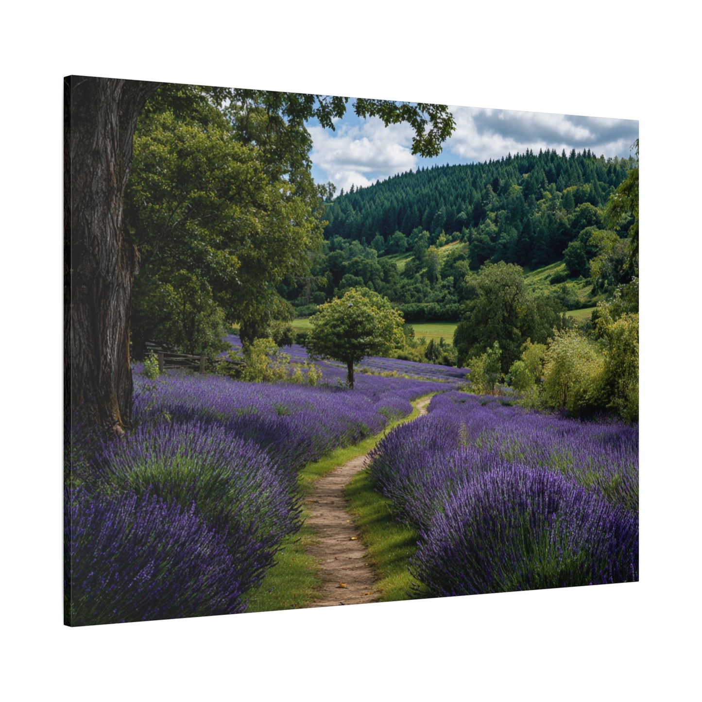 Lavender Field Path Matte Canvas Print — Stretched 1.25" Wall Art