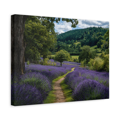Lavender Field Path Matte Canvas Print — Stretched 1.25" Wall Art