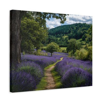 Lavender Field Path Matte Canvas Print — Stretched 1.25" Wall Art