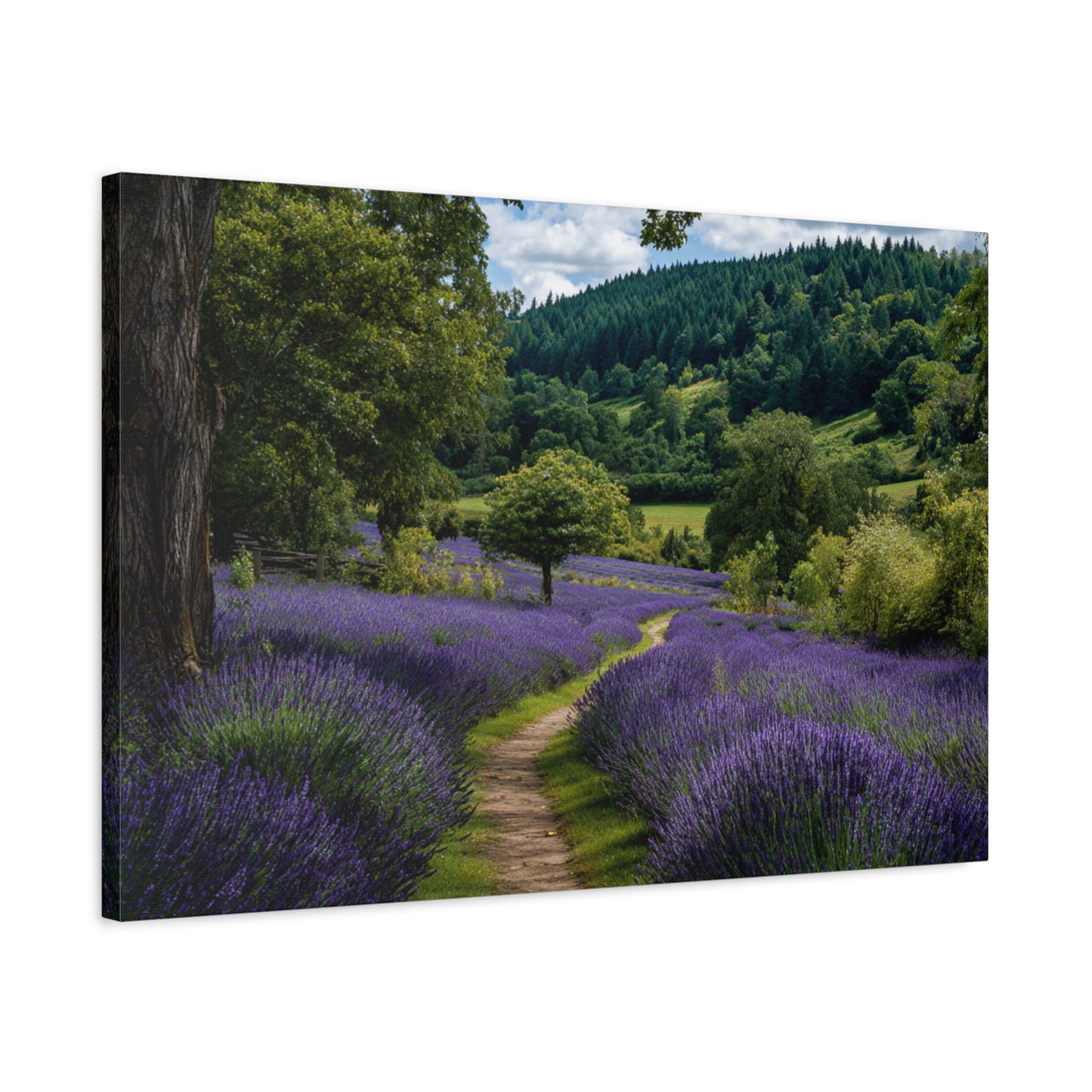 Lavender Field Path Matte Canvas Print — Stretched 1.25" Wall Art