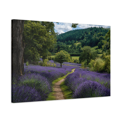 Lavender Field Path Matte Canvas Print — Stretched 1.25" Wall Art