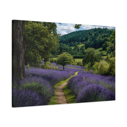 Lavender Field Path Matte Canvas Print — Stretched 1.25" Wall Art