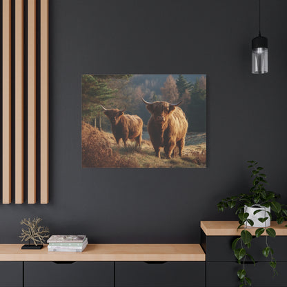 Highland Cattle Matte Canvas Print — Rustic Farmhouse Wall Art