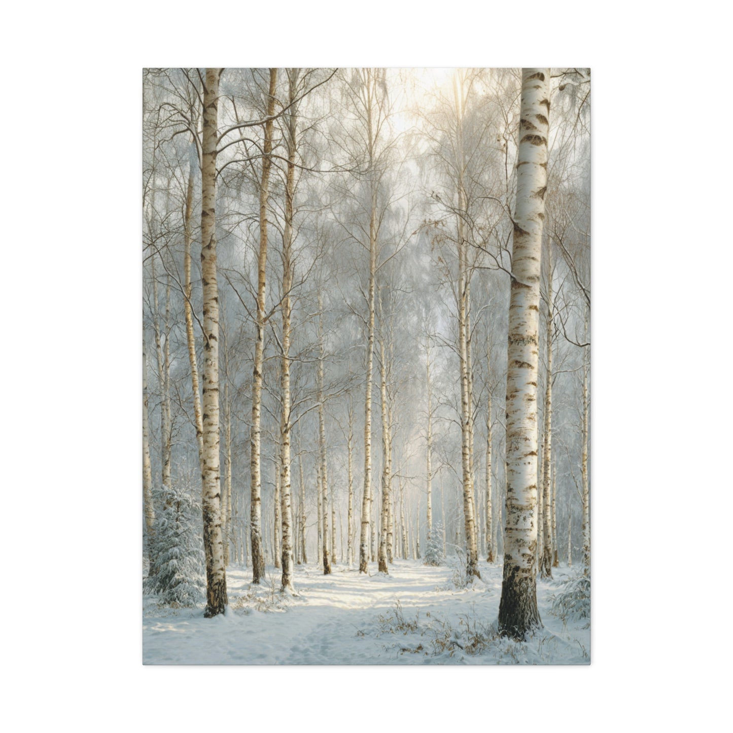 Birch Forest Matte Canvas Wall Art – Stretched 1.25" Landscape