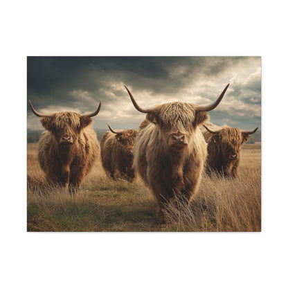 Highland Cattle Canvas Print — Majestic Bull Herd Wall Art