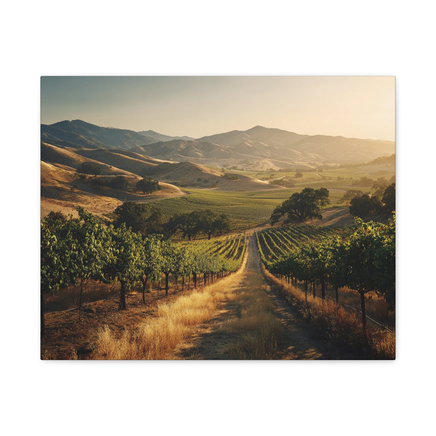 Vineyard Sunrise Matte Canvas Wall Art — Stretched 1.25"