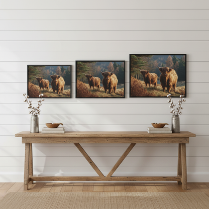 Highland Cattle Size Comparison Horizontal Mockup